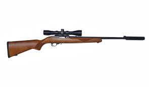 Ruger 10/22